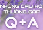 Làm sao để tải game Aniimo?