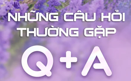 Aniimo có hệ thống Party không?