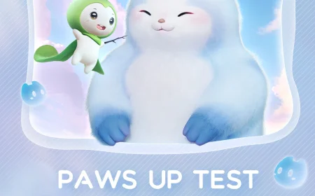 Thống Kê Thú Vị Từ Giai Đoạn Thử Nghiệm Aniimo!