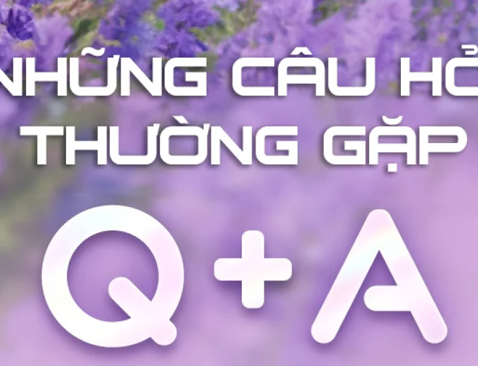 Aniimo có hệ thống Party không?