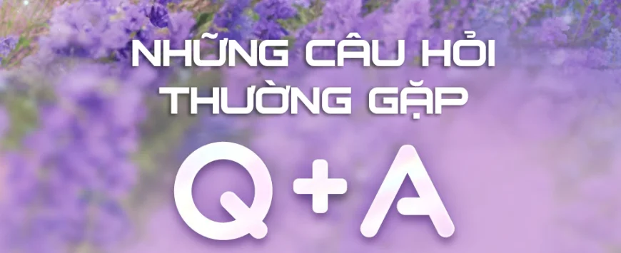 Aniimo có tính năng co-op hoặc multiplayer không?